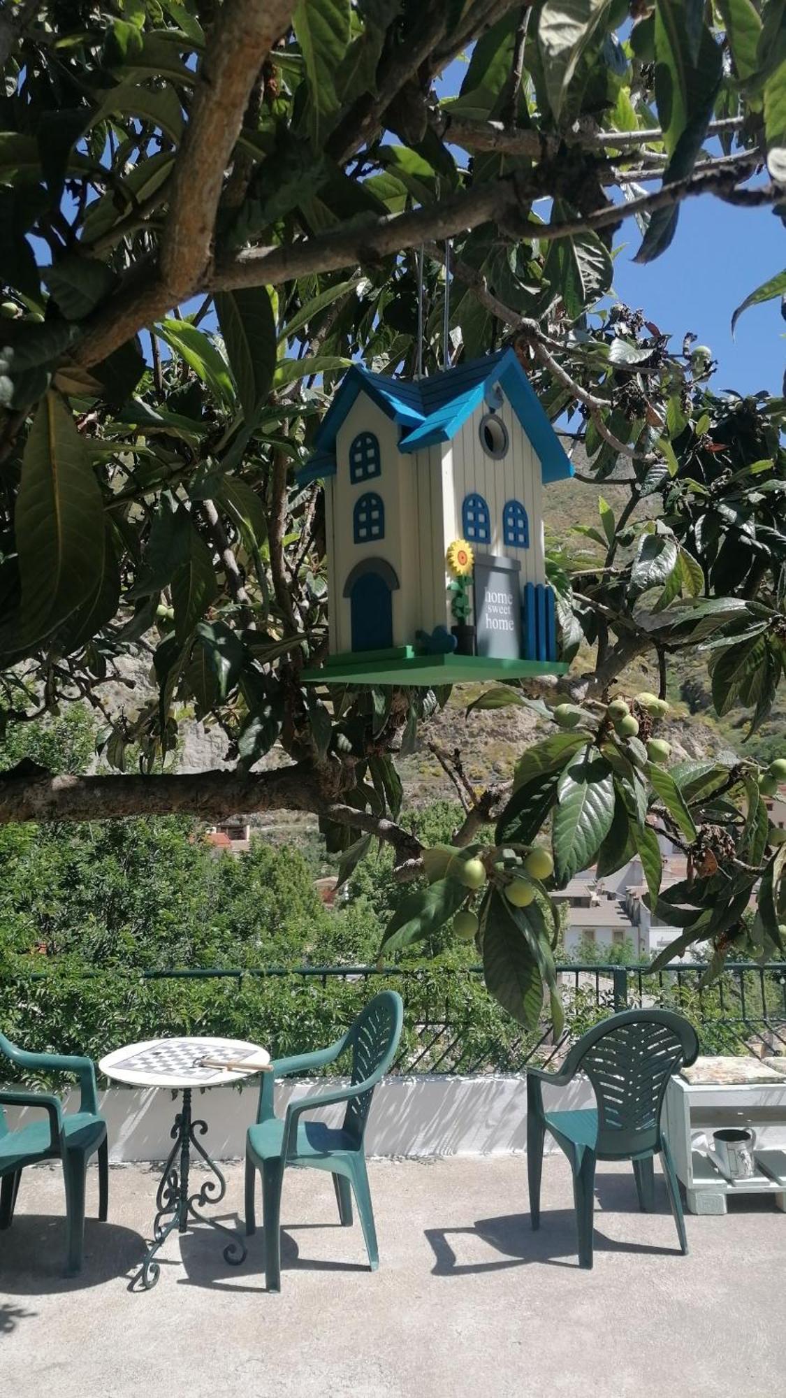 La Casa De La Abuela Apartment Pinos Genil Exterior photo